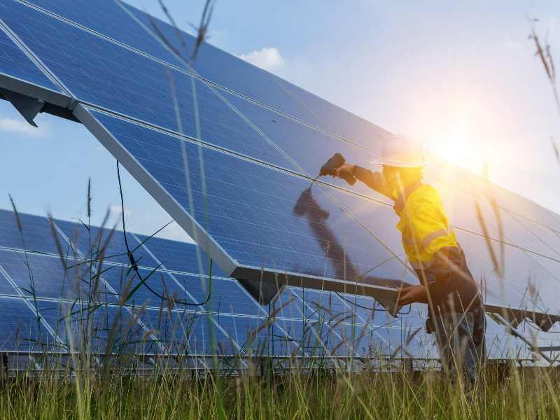 Major solar farm builder settles case alleging it violated clean water rules