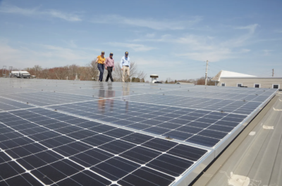 It’s cheaper to cut down trees than build solar on rooftops. Can Massachusetts change that?